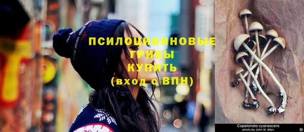 ГАЛЛЮЦИНОГЕННЫЕ ГРИБЫ Абинск